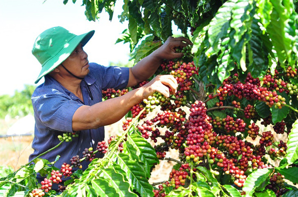 Những khoản tiền của người lao động sẽ tăng khi tăng lương cơ sở