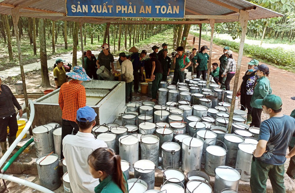 Hướng dẫn mới về chế độ hợp đồng trong cơ quan nhà nước