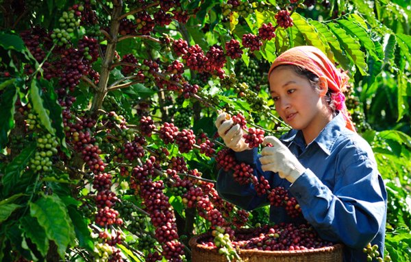 Mất việc dịp cuối năm: Những khoản tiền được thanh toán người lao động cần biết